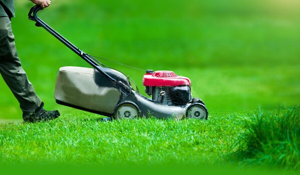 Lawn Care