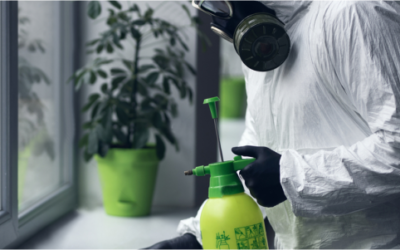 Profit From Mold Remediation
