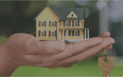 What is the difference between REO & Foreclosed property?