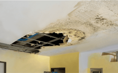 How to find roof leak in property preservation business?